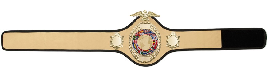 CHAMPIONSHIP BELT PRO288/G/FLAGG - AVAILABLE IN 10 COLOURS CHAMPIONSHIP BELT PRO288/G/FLAGG - AVAILABLE IN 10 COLOURS
